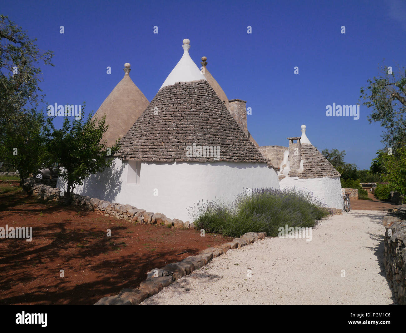 Une rangée de maisons trulli de plâtre blanc traditionnel en forme de cône avec des toits de tuiles d'ardoise sous un ciel bleu clair à Alberobello Banque D'Images