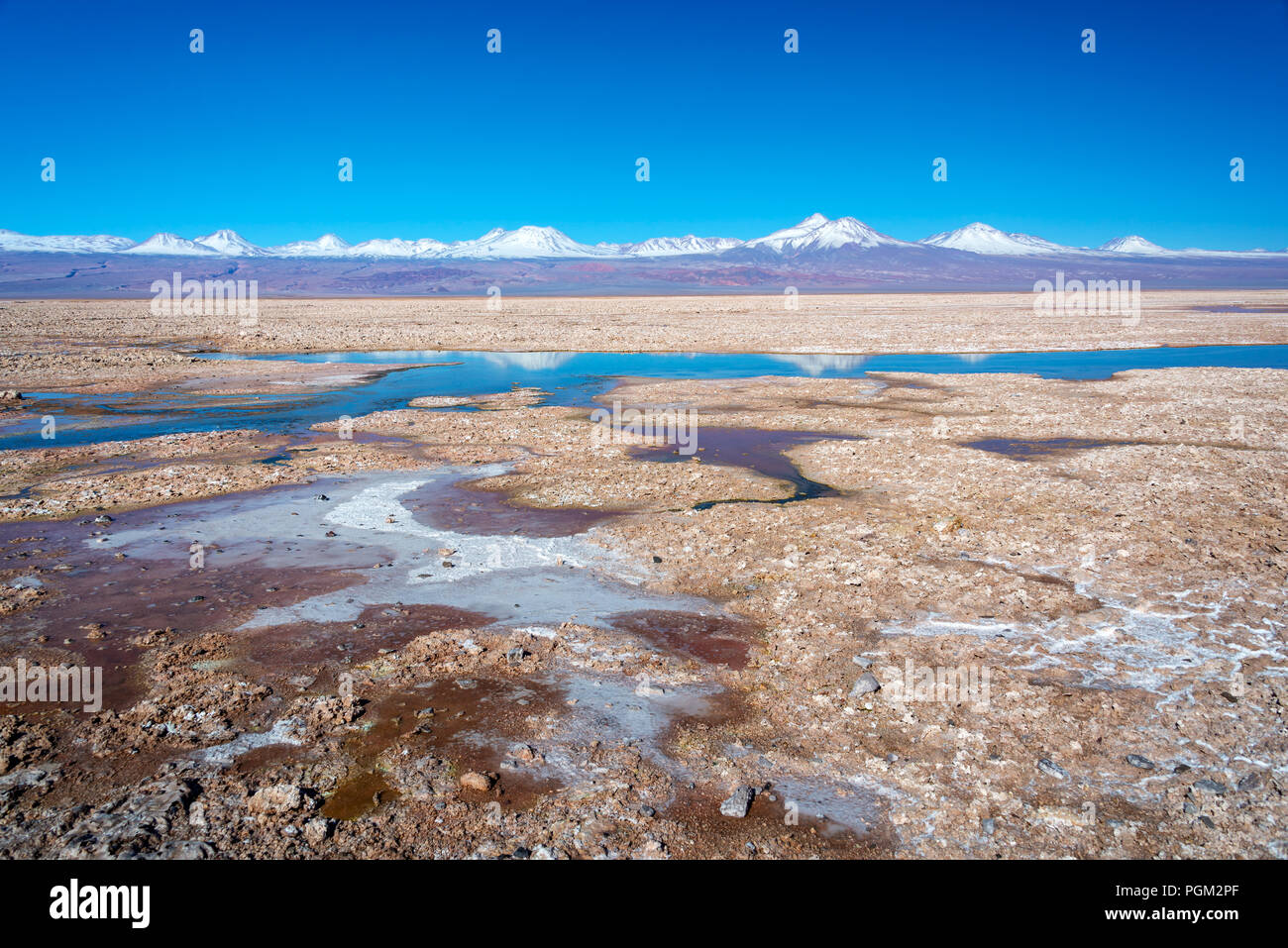 Salar d'Atacama, cordillère des Andes enneigée en arrière-plan, le Chili Banque D'Images