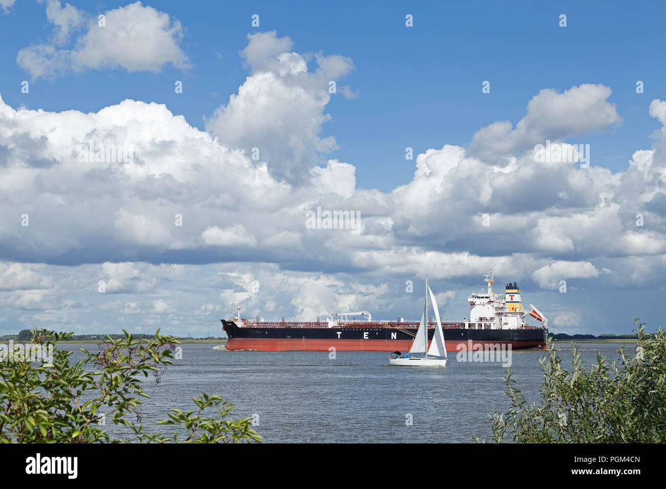 Freight ship off Gruenendeich, Altes Land (vieux pays), Basse-Saxe, Allemagne Banque D'Images