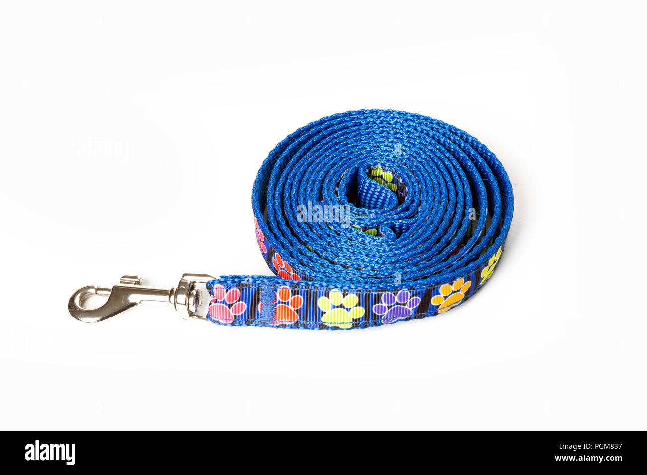 Blue dog leash isolé sur fond blanc Banque D'Images