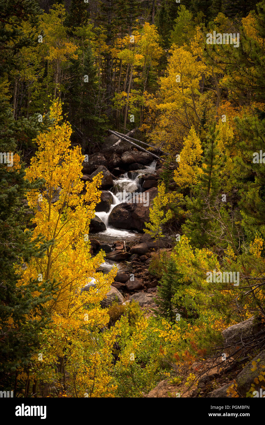 Cascade aux trembles en couleurs d'automne dans le Rocky Mountain National Park, Colorado, USA Banque D'Images
