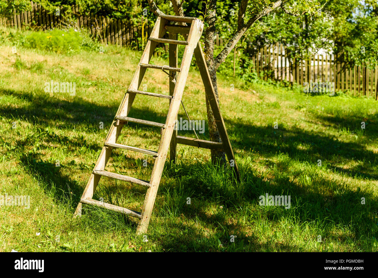 Jardin en bois à côté de l'échelle d'un arbre fruitier en été. Banque D'Images Jardin en bois à côté de l'échelle d'un arbre fruitier en été. Banque D'Images
