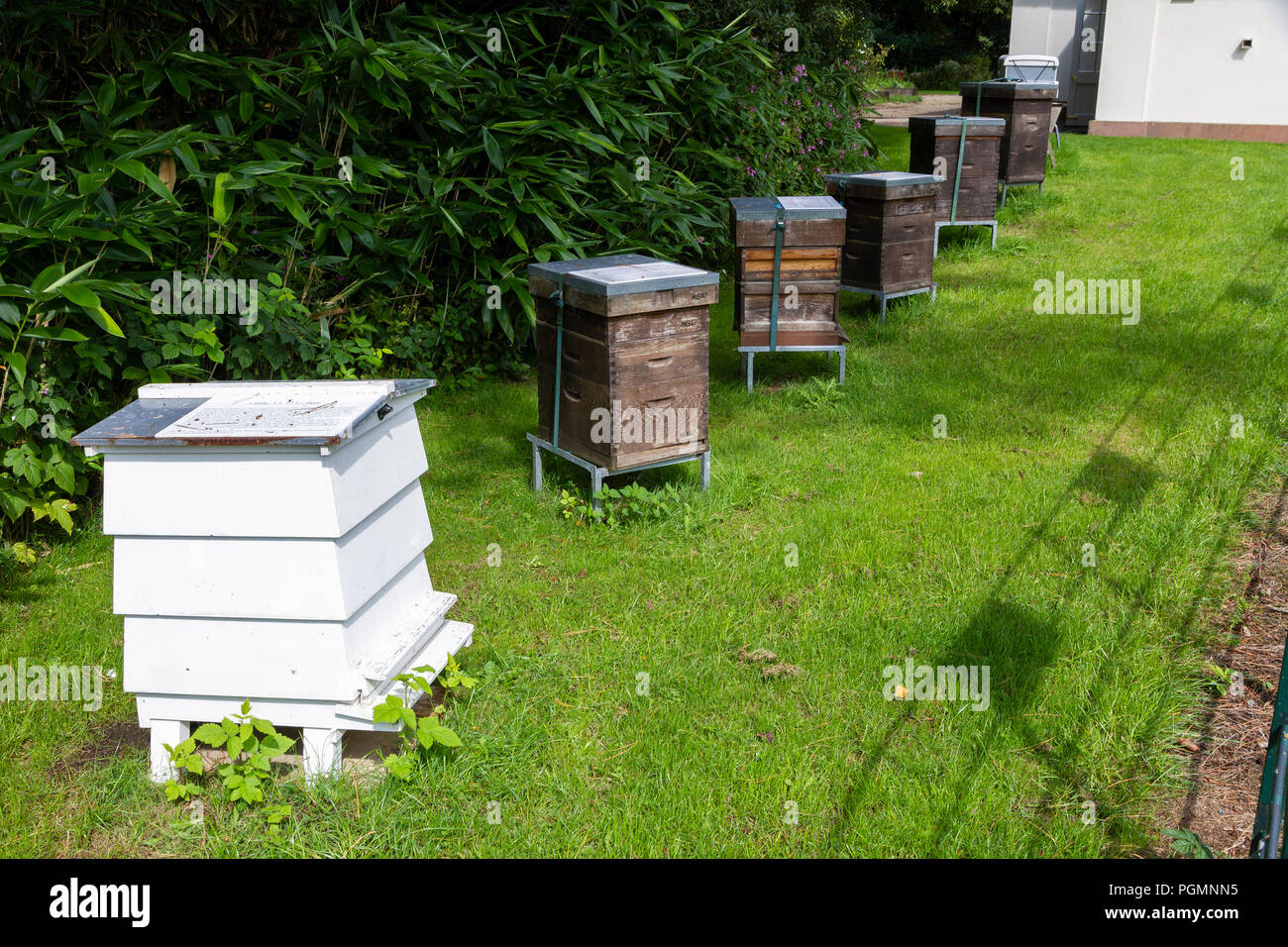 Des ruches à l'extérieur The Dower House, Heaton Park, siège de l'Association des apiculteurs de Manchester et du district. Banque D'Images