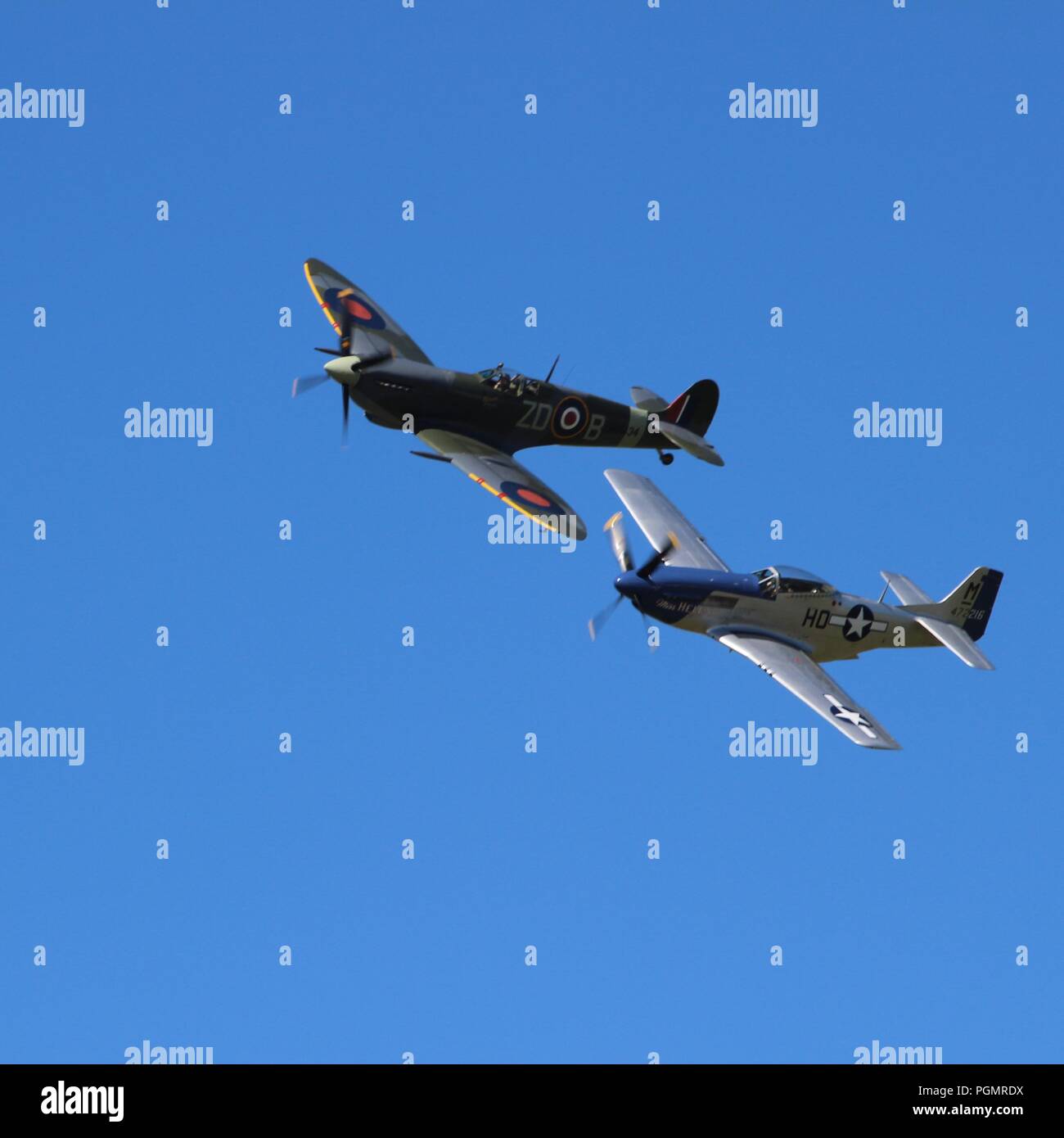 Spitfire et Mustang Air Afficher au Goodwood Revival 2016 Banque D'Images