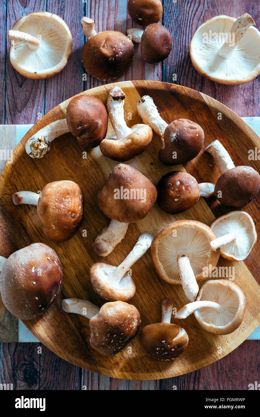 Champignons Shiitake Banque D'Images