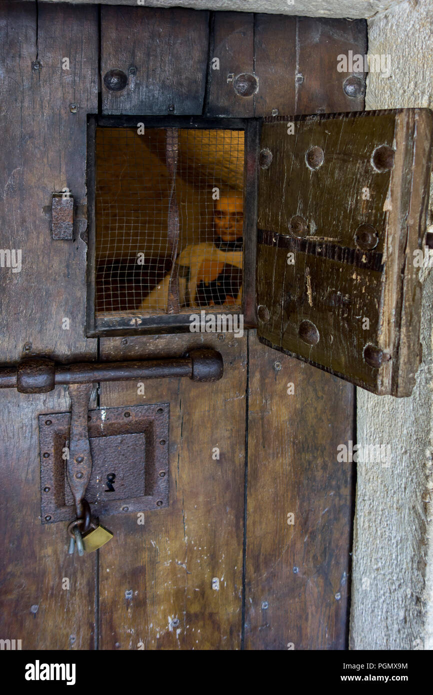 Cellule de prison médiévale en bois lourd porte avec trappe ouverte montrant prisonnier dans le château de Bouillon, Château de la Province de Luxembourg, Ardennes, Belgique Banque D'Images