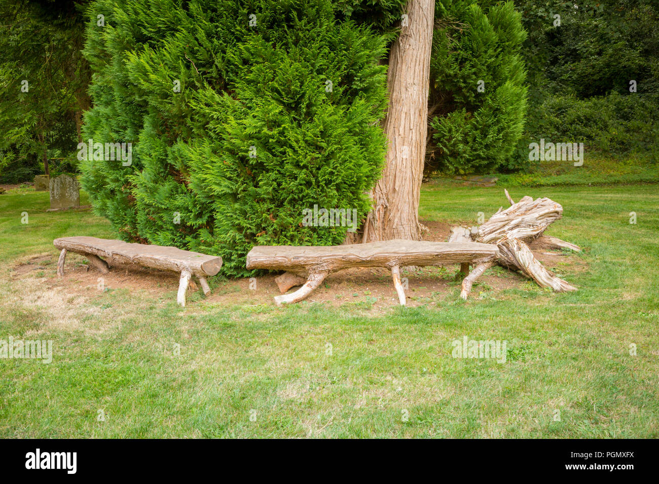 Banc Rustique à base de tronc de l'arbre dans un jardin avec pelouse UK Banque D'Images