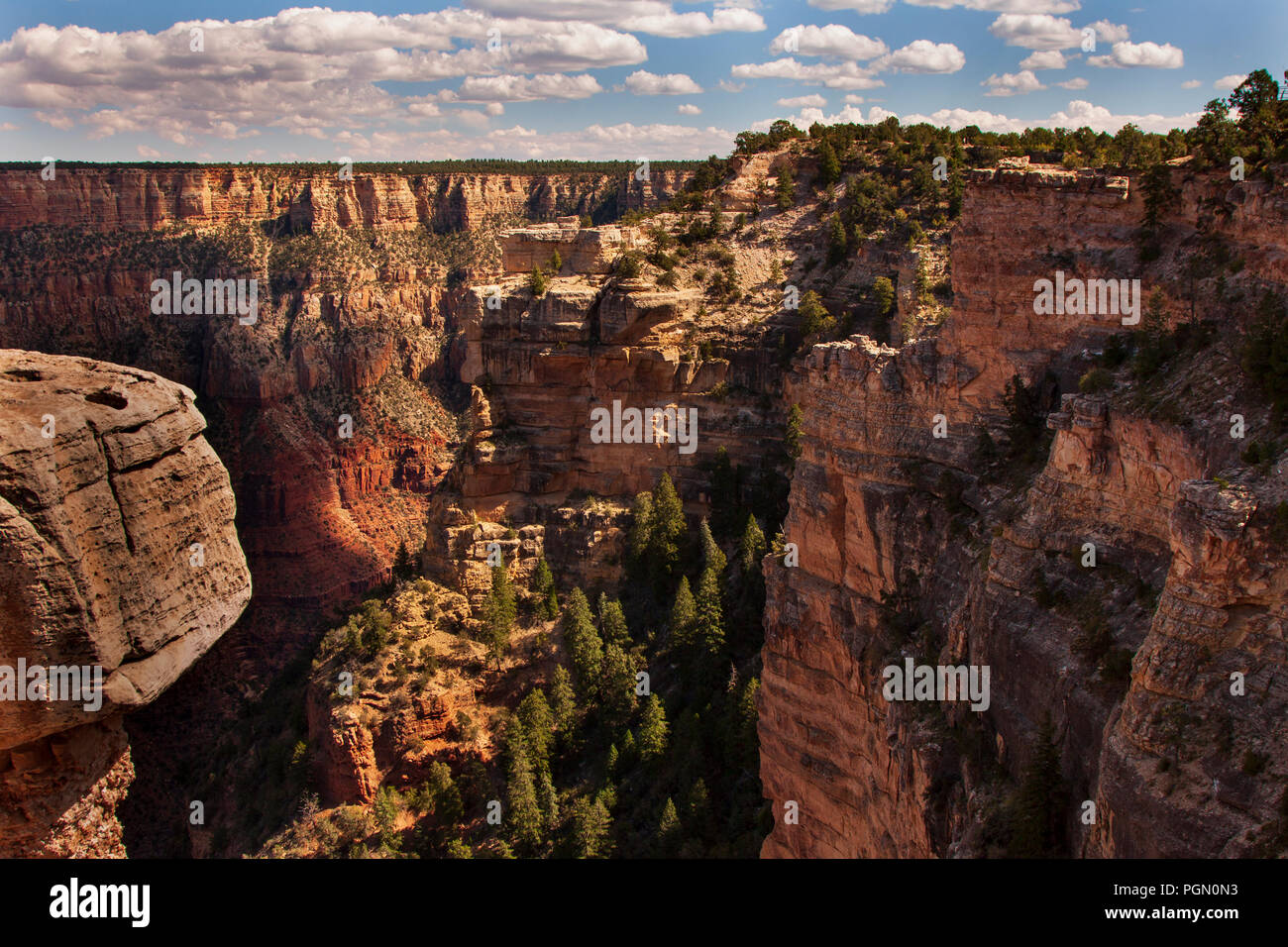 La profondeur du Grand Canyon Banque D'Images