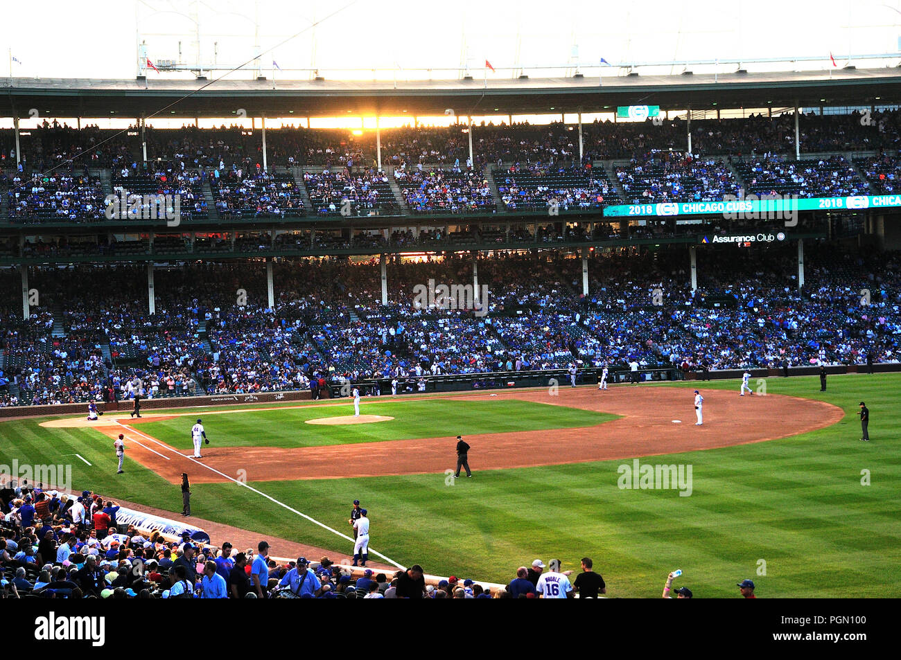 Le stade de baseball MLB Chicago Wrigley Field est l'endroit où les Cubs de Chicago jouer au baseball. Jeu de nuit d'oursons vs Cincinnati Reds. Banque D'Images