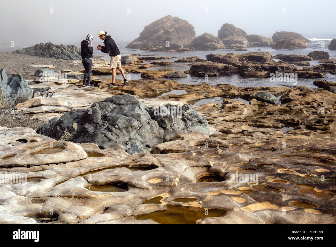Les gens à explorer les bassins de marée sur Sombrio Beach, parc provincial Juan de Fuca - près de Port Renfrew, l'île de Vancouver, Colombie-Britannique, Canada Banque D'Images
