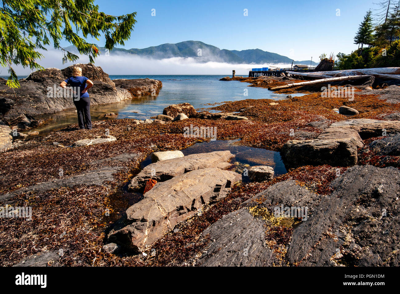Vue sur la côte rocheuse à Port Renfrew, l'île de Vancouver, Colombie-Britannique, Canada Banque D'Images