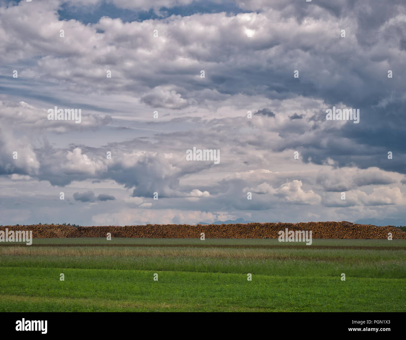 Enregistrements sauvegardés de la foresterie derrière une prairie avec d'impressionnants cloudscape Banque D'Images