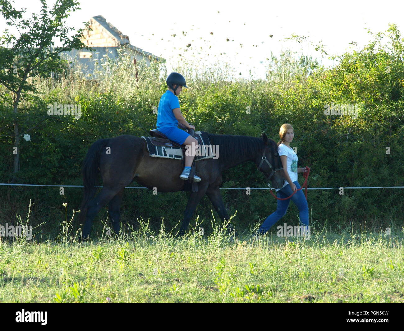 Chevaux et anniversaire avec les enfants Banque D'Images