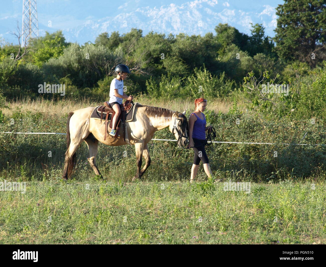 Chevaux Et Anniversaire Avec Les Enfants Photo Stock Alamy