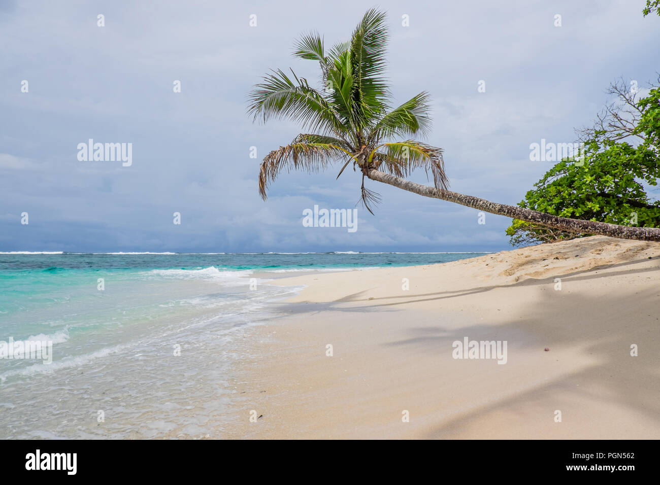 L'Île Nuusafee : beau désert inhabité au large de l'île Upolu, Western Samoa, Pacifique Sud Banque D'Images