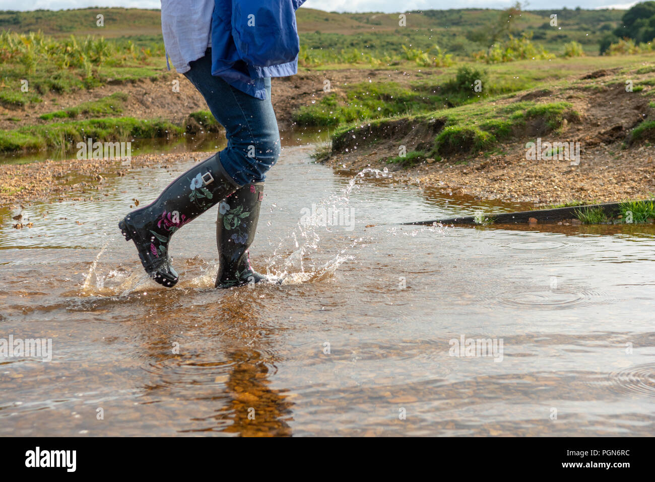 Femme portant des bottes Wellington floral noir marcher dans l'eau dans la campagne anglaise, UK Banque D'Images