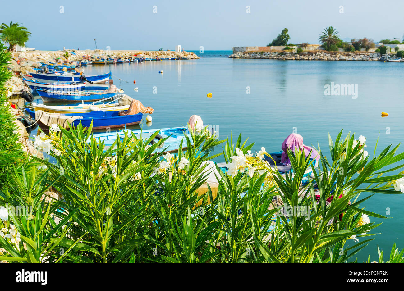 Le pittoresque port antique de Carthage avec verdure le long de la côte et de nombreux bateaux de pêche, la Tunisie. Banque D'Images