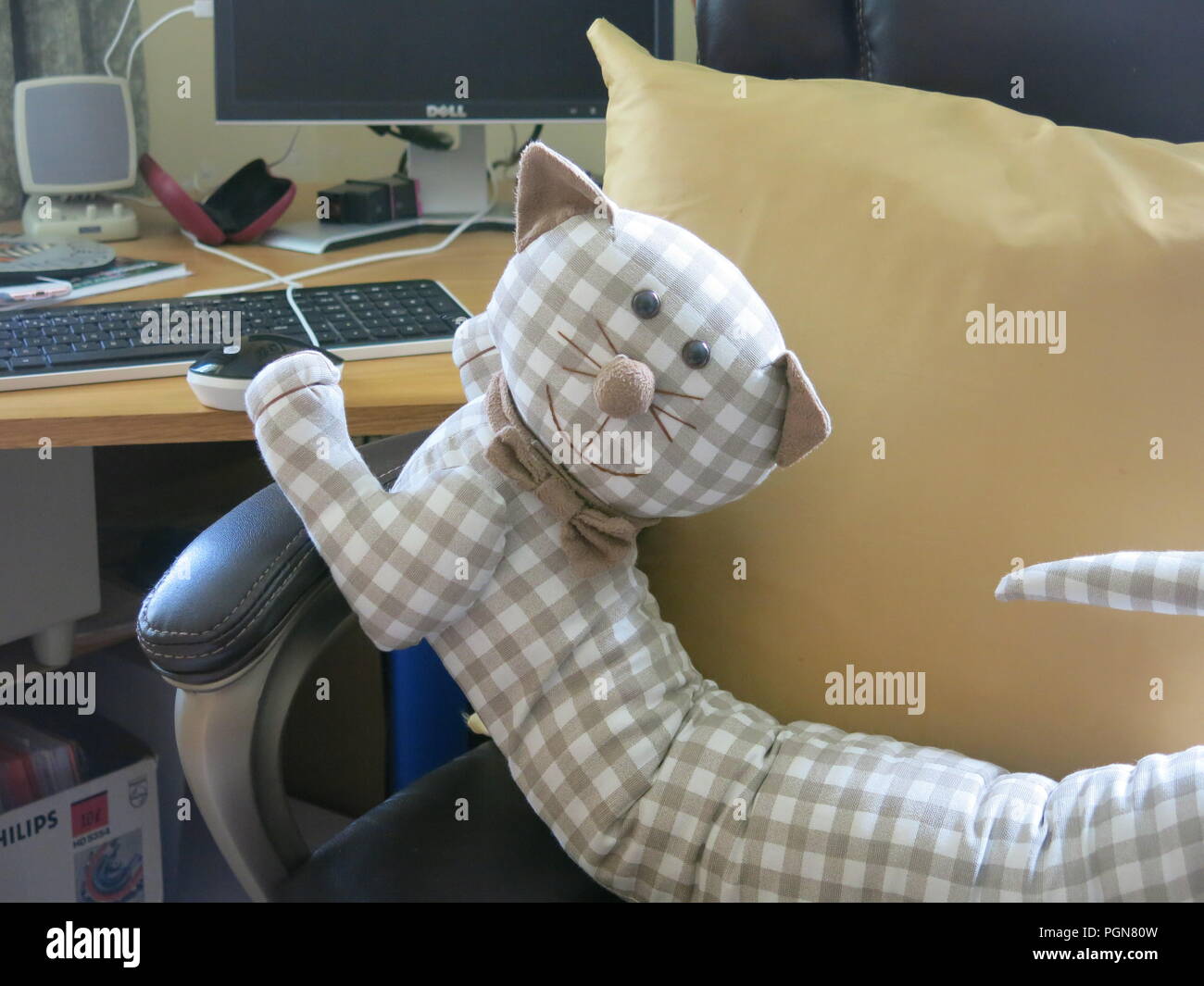 Doudou chat a capturé une souris, sa patte est sur la souris de l'ordinateur ; une culture de ce félin. Banque D'Images