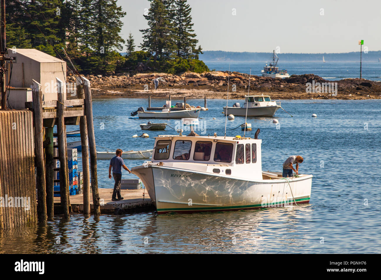 Les bateaux de pêche à quai à Owl's Head, Maine Banque D'Images