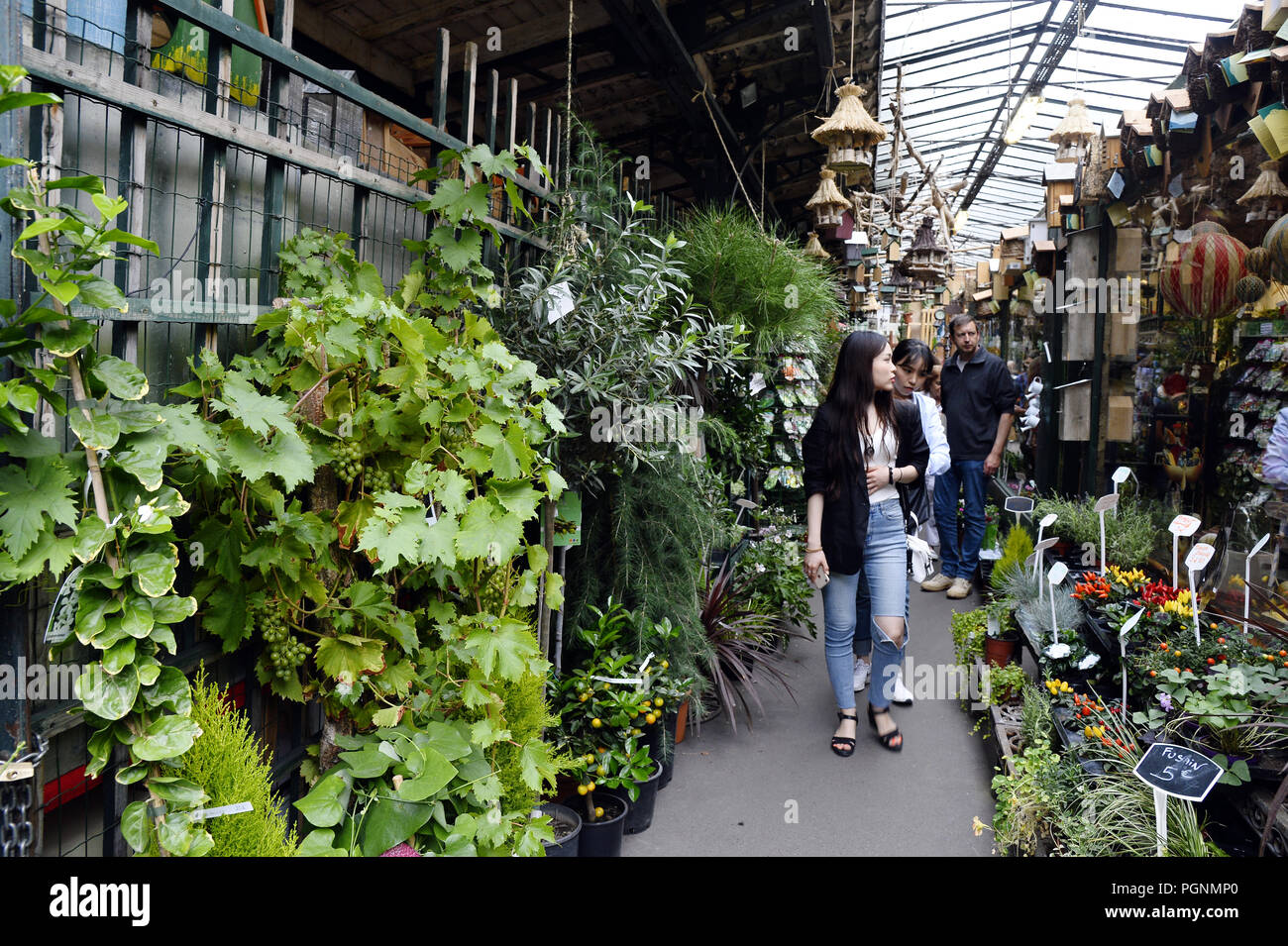 Marché aux fleurs et aux oiseaux Reine Elizabeth II Allée des Célestins Paris 4ème Photo