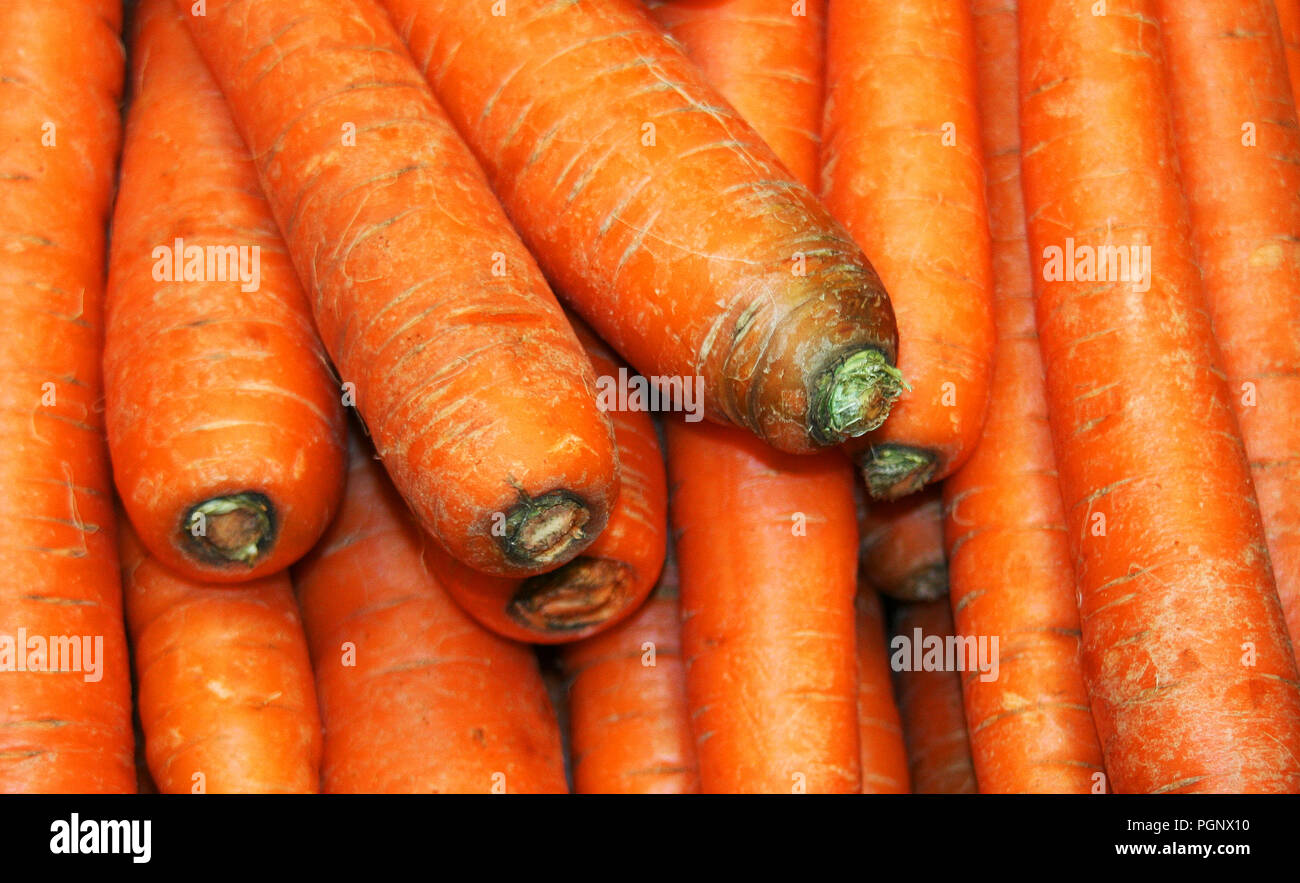 Groupe des carottes dans l'épicerie. Les carottes sont une forme domestiquée de la carotte sauvage, Daucus carota, originaire d'Europe et d'Asie du sud-ouest, est issue Banque D'Images