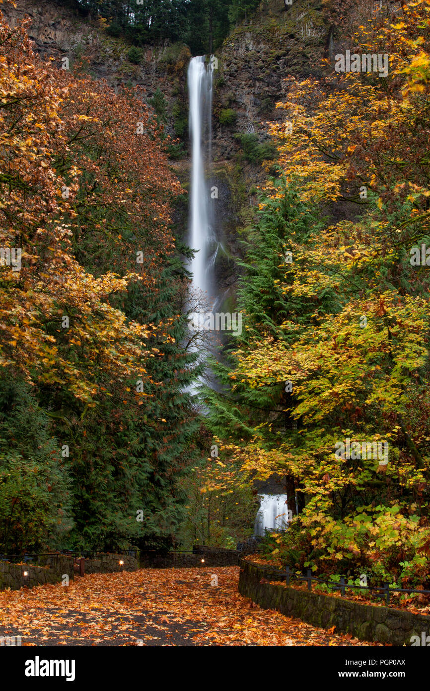 Multnomah Falls en automne et sentier couvert de feuilles Banque D'Images
