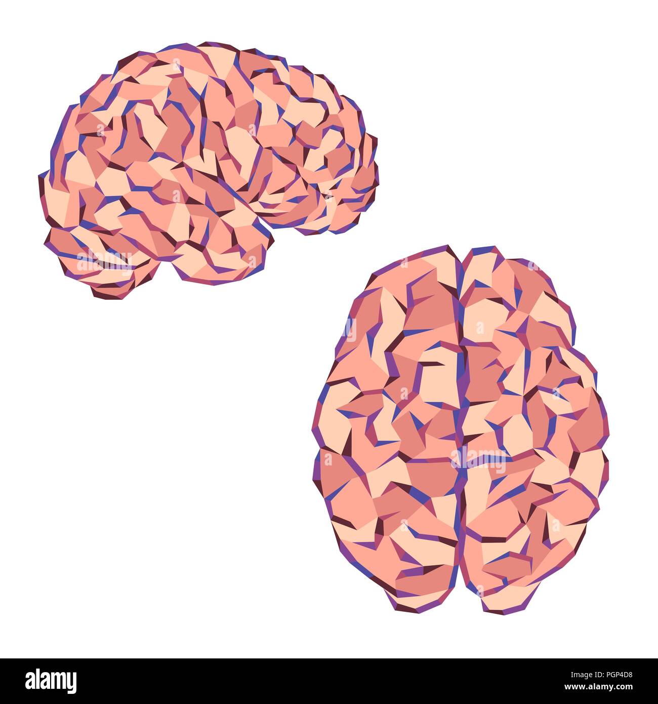 Cerveau humain abstrait silhouette aux éléments triangle isolé sur fond blanc Illustration de Vecteur