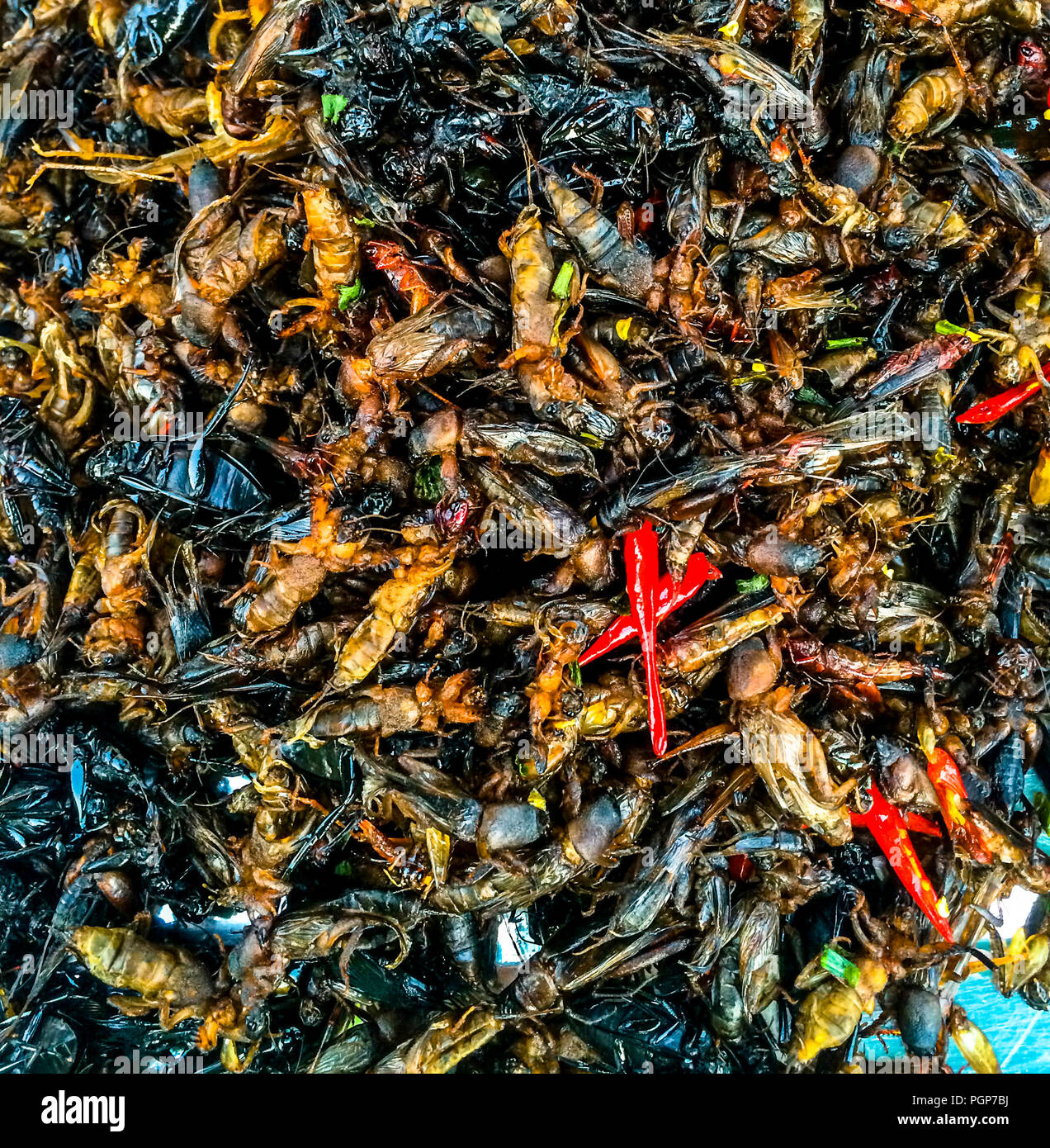 Populaire en Asie sont les beignets de bogues comme la sauterelle et des vers à soie, pour n'en nommer que deux. Banque D'Images