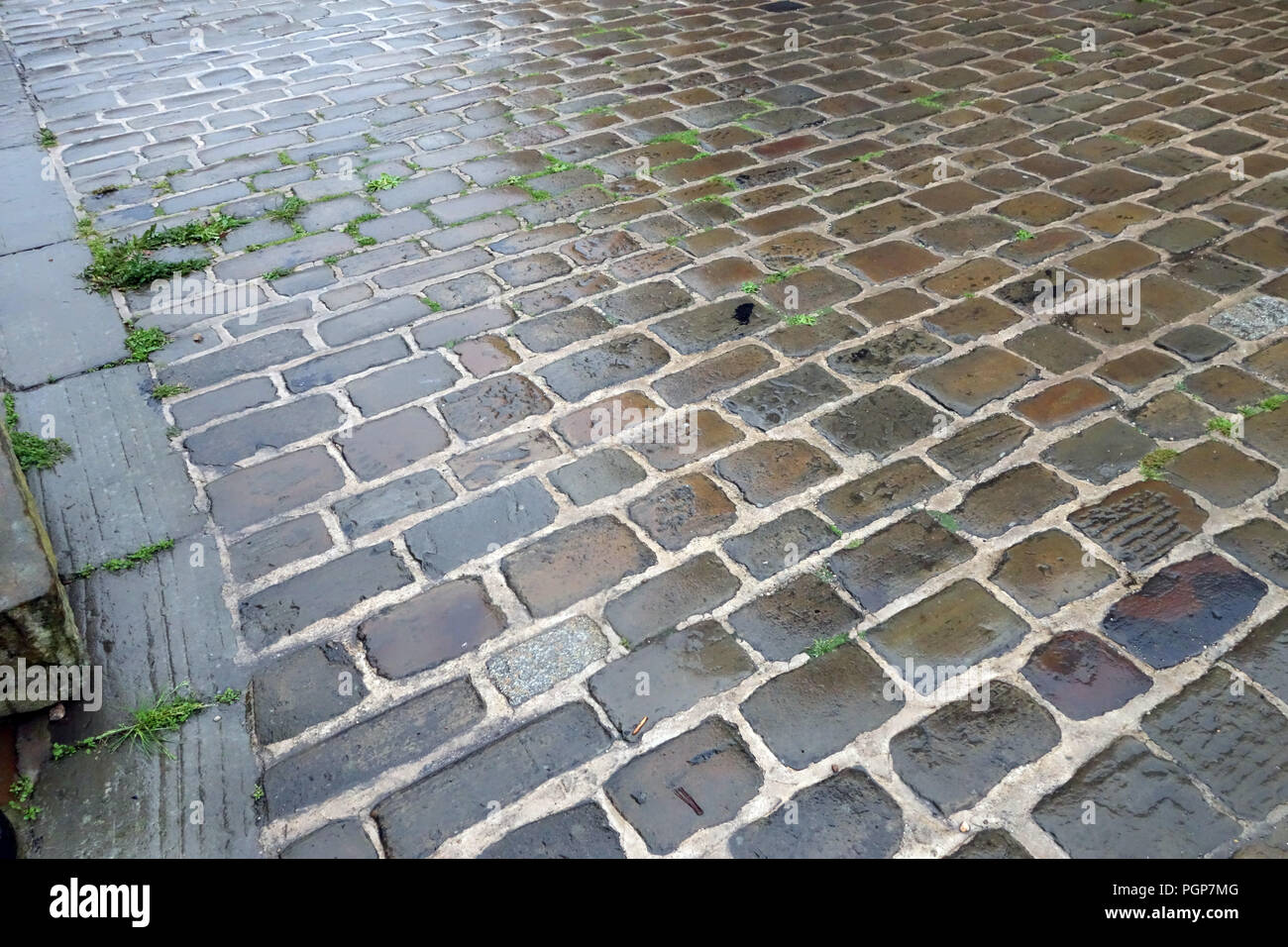 Granit Pierre marbre pavés sous la pluie. Cailloux humides pierres dans Yorkshire, Angleterre Banque D'Images