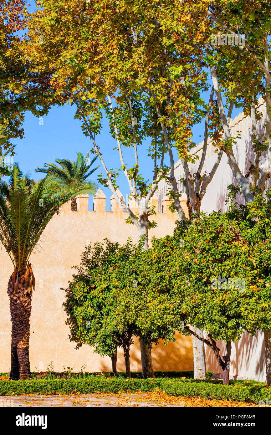 Maroc jardin clos avec palmiers, orangers et de haies dans une conception formelle. Point de vue est debout à l'intérieur des murs. Banque D'Images