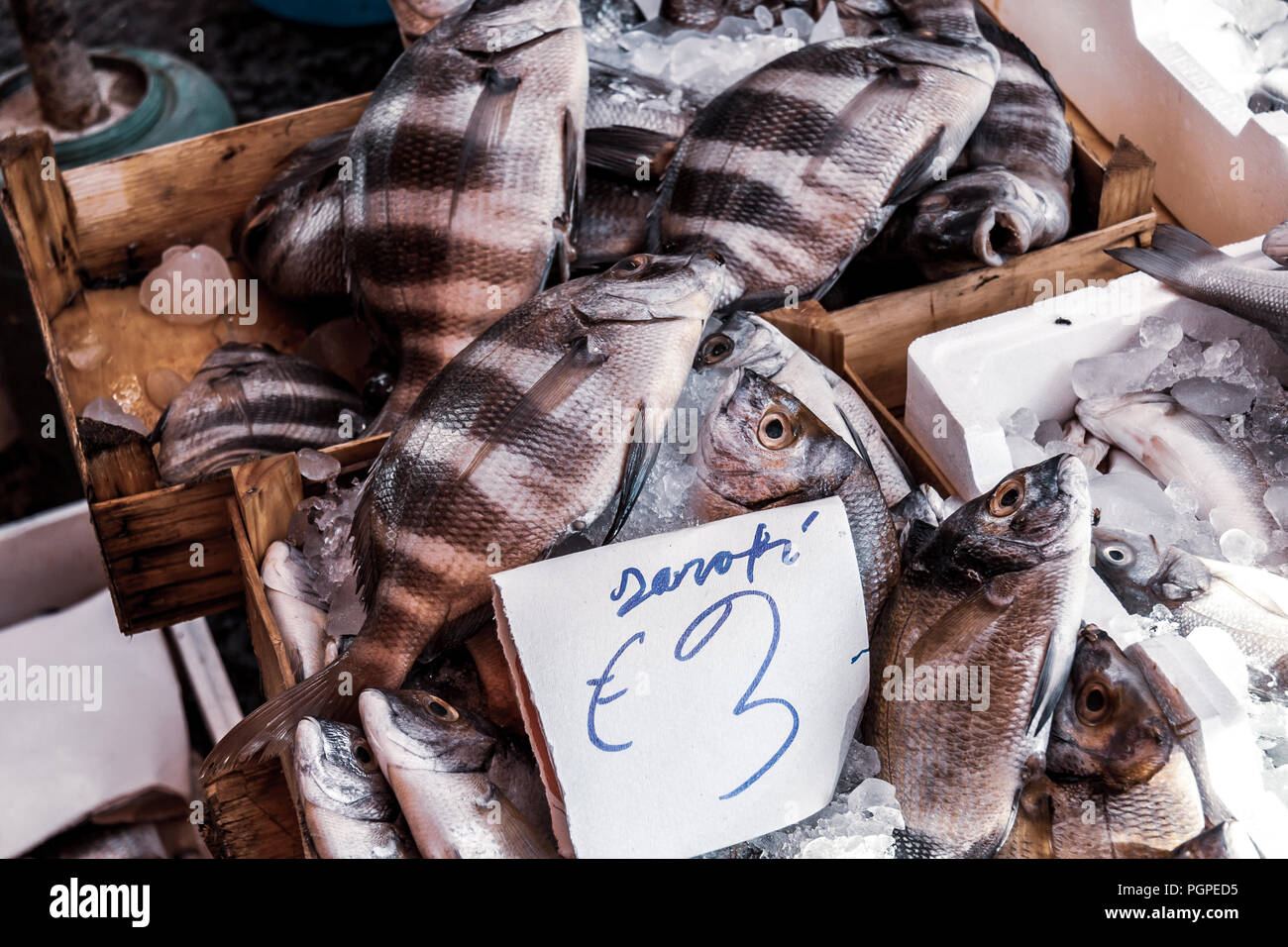 Marché aux poissons, Palerme, Sicile Banque D'Images