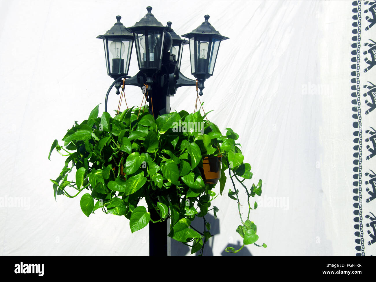 Lanterne avec des plantes sur l'arrière-plan de drap blanc avec noir toile, journée d'été Banque D'Images