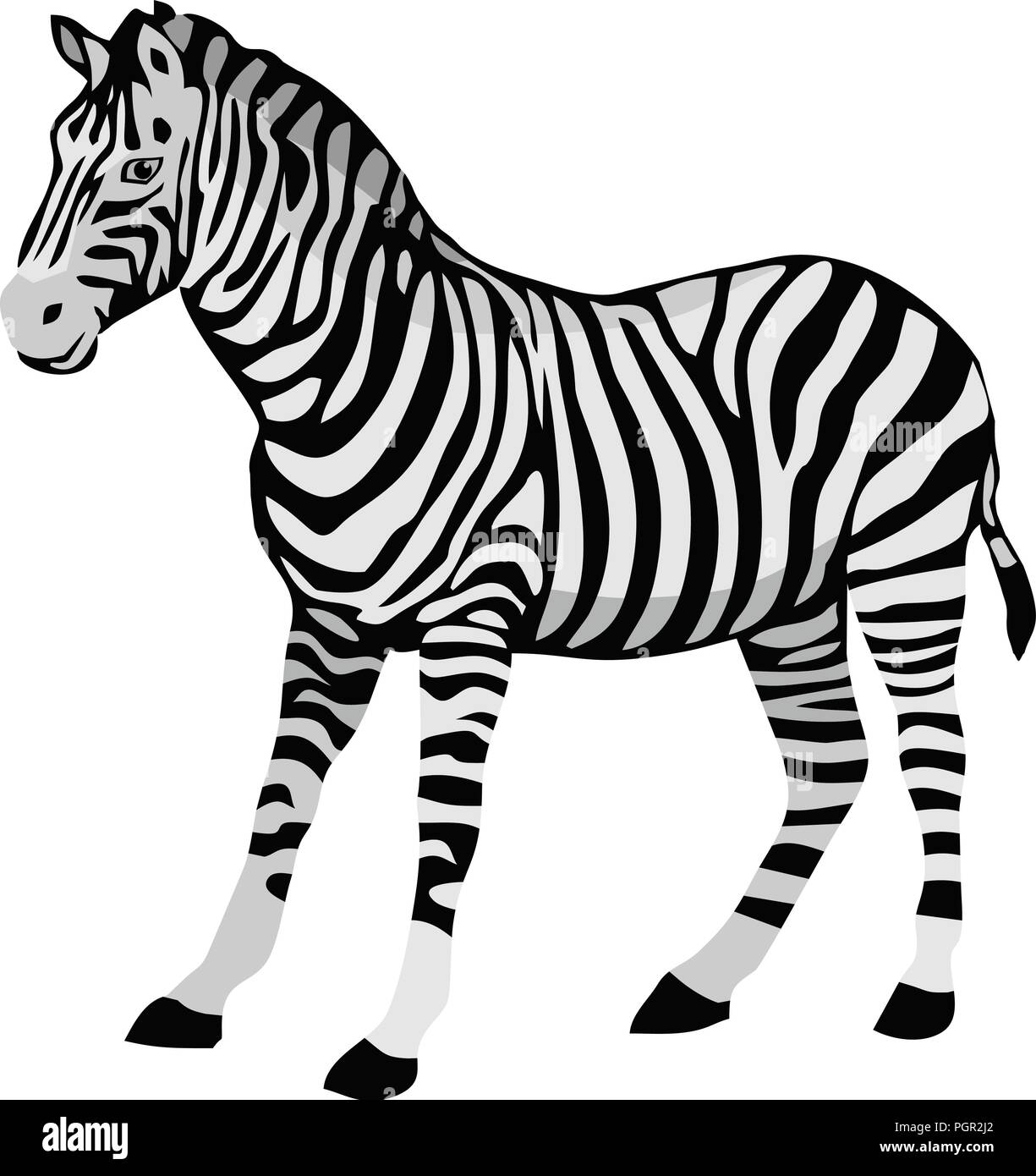 Animal de Zebra Mammal Illustration de Vecteur