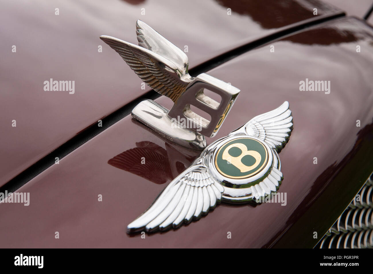 Royaume-uni, Angleterre, Stockport, Cheshire, Woodsmoor Car Show, flying B insignes sur radiateur de 1999 Bentley Arnage berline Banque D'Images