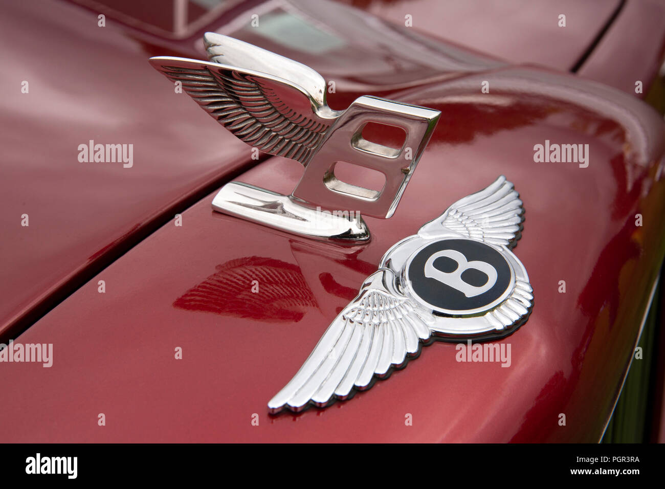 Royaume-uni, Angleterre, Stockport, Cheshire, Woodsmoor Car Show, flying B insignes sur radiateur de 2000 Bentley Arnage berline Banque D'Images