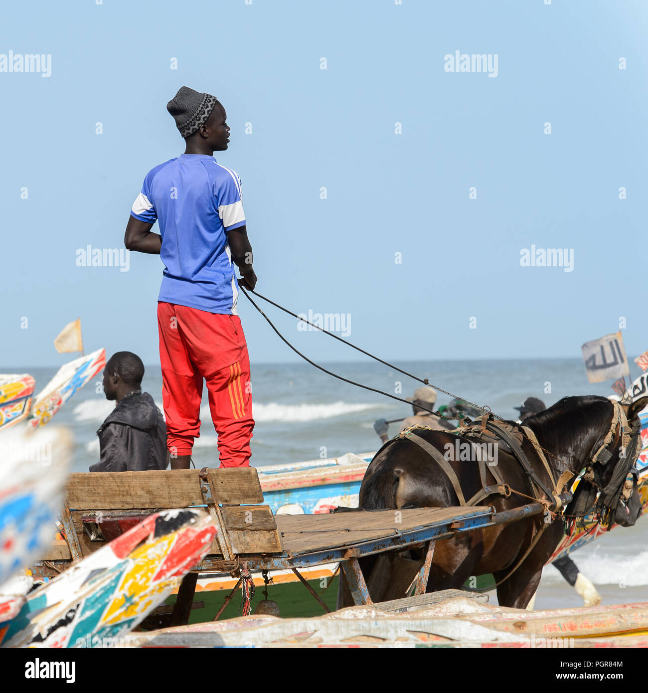 KAYAR, SÉNÉGAL - AVR 27, 2017 : Des Sénégalais se déplace sur le panier à cheval sur la côte de l'océan Atlantique. De nombreuses personnes travaillent dans Kayar Banque D'Images