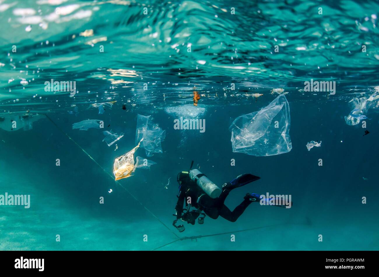 Nage par plongeur sous-marin de la pollution plastique en Egypte Banque D'Images