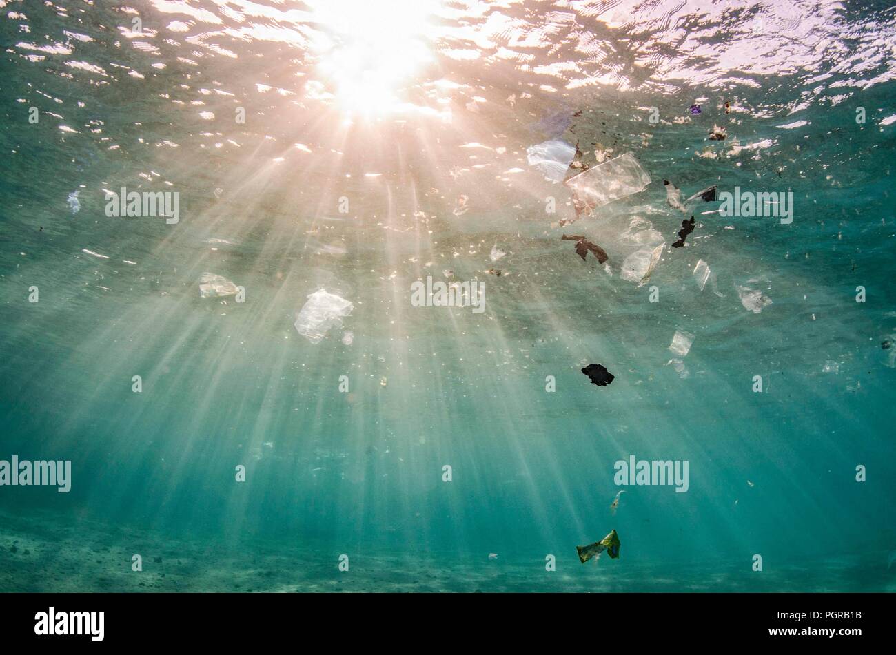 Sous l'eau la pollution en plastique flottant à la surface de l'océan en Egypte Banque D'Images