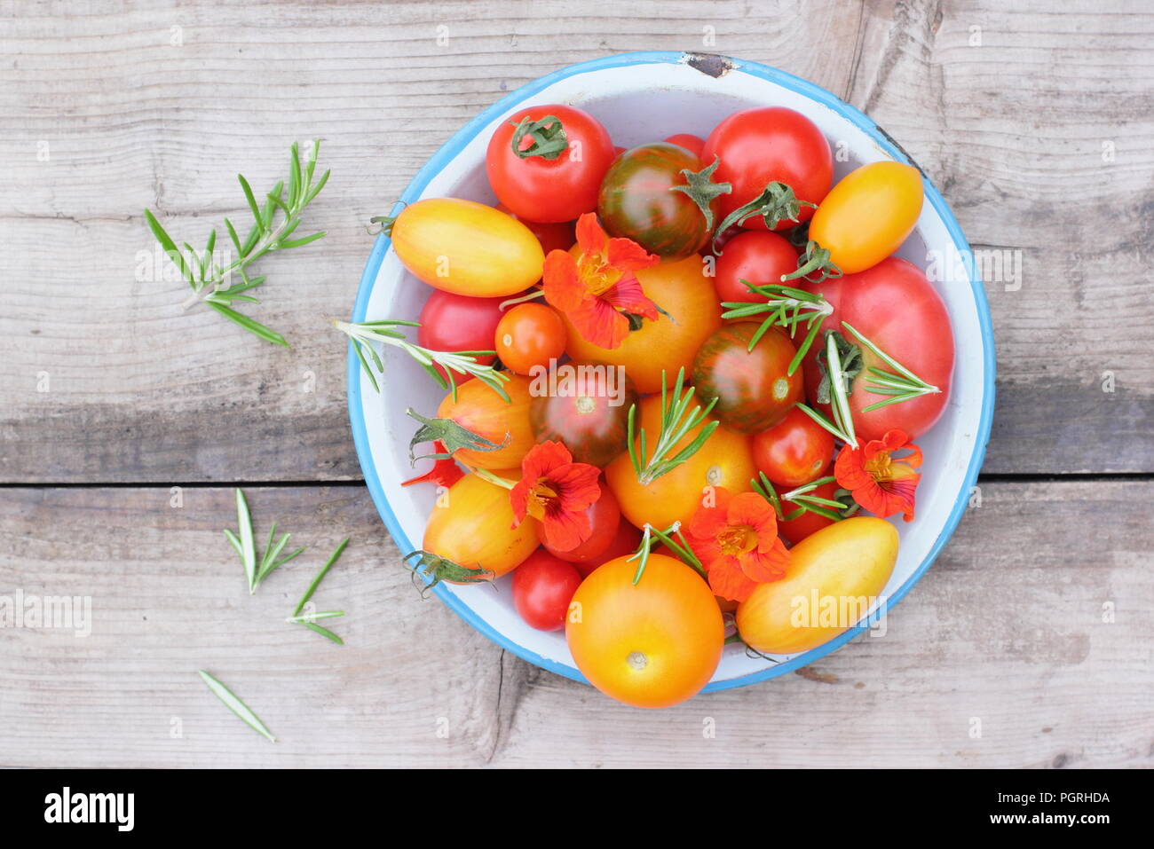 Solanum lycopersicum. Variétés fraîchement récolté de heirloom tomatoes avec fleurs comestibles, capucine et romarin plat en émail Banque D'Images
