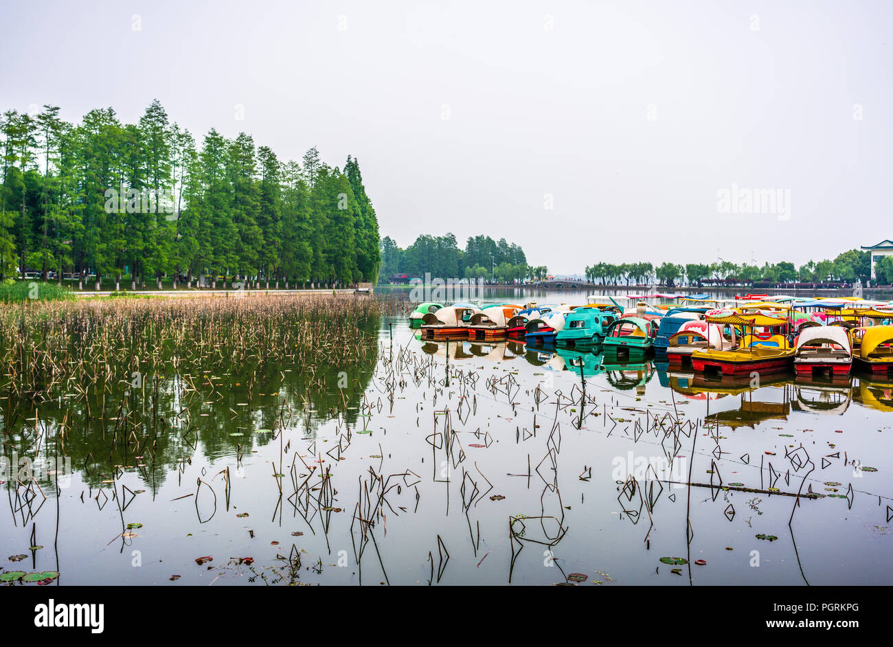 Des pédalos et des arbres verts autour de Donghu à Wuhan East Lake Chine Hubei Banque D'Images