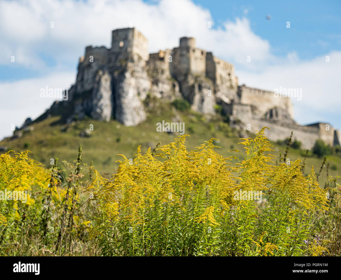 Spissky Hrad. Le château de Spis, Monument culturel national (l'UNESCO. Château de Spis. L'un des plus grand château d'Europe centrale (Slovaquie). Banque D'Images