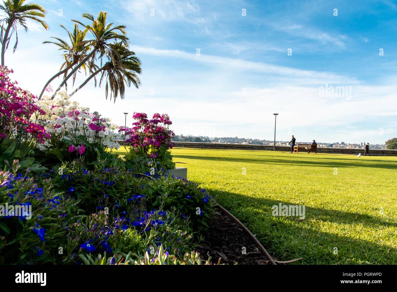 Jardin botanique royal, l'été 2018 de Sydney Banque D'Images