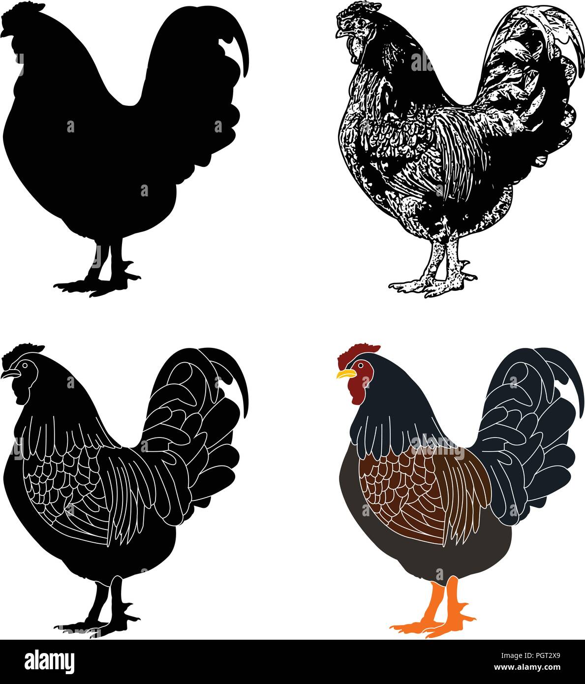 Silhouette poule,croquis et illustration - vector Illustration de Vecteur