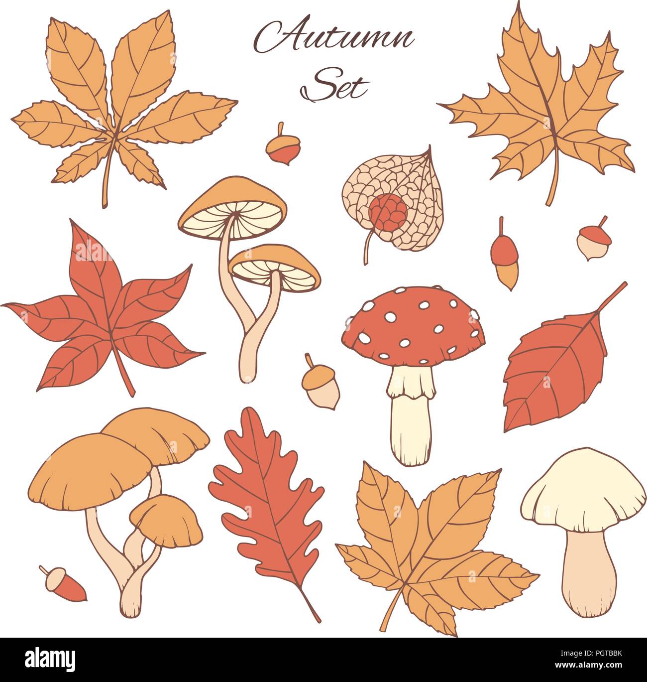 Hand drawn vector set d'automne avec le chêne, peuplier, hêtre, érable, de trembles et de feuilles de marronnier, des champignons, des glands et physalis isolé sur le bac blanc Illustration de Vecteur