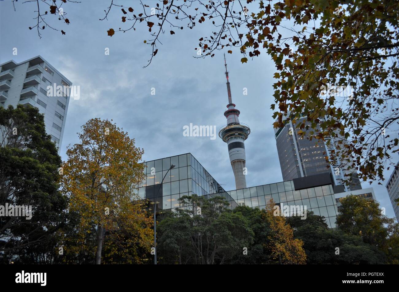 L'Auckland skytower en automne pendant un coup de vent Banque D'Images