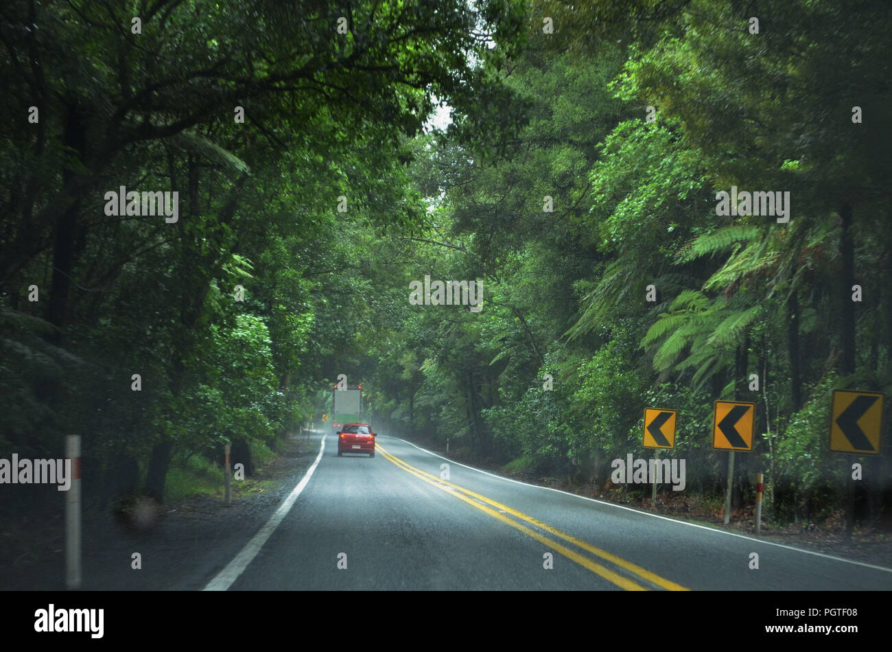 Street dans une belle forêt avec des arbres verts en Nouvelle Zélande Banque D'Images