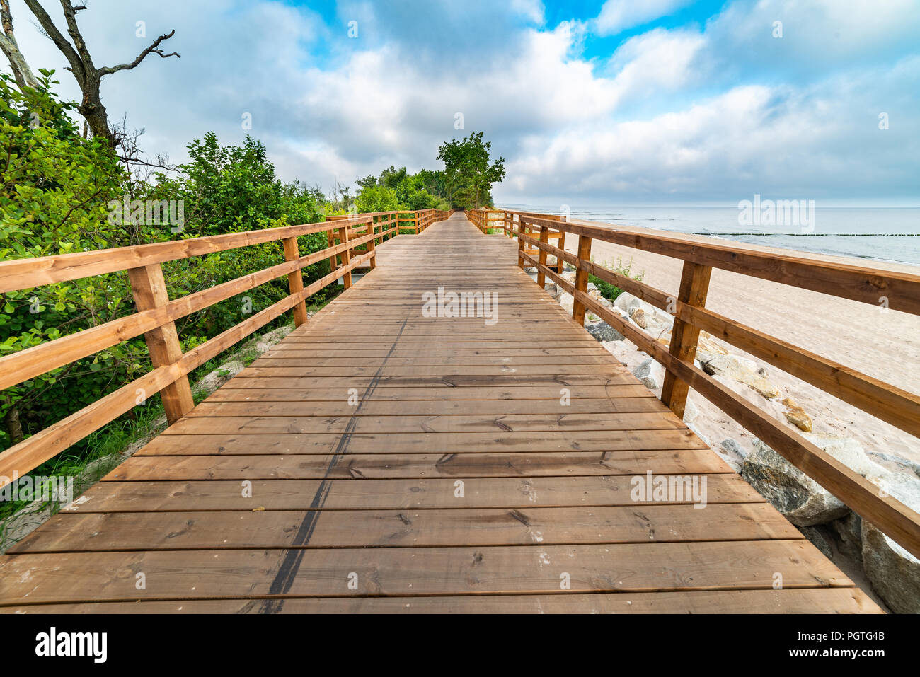 Un chemin en bois le long de la mer, de l'autre côté de la forêt Banque D'Images