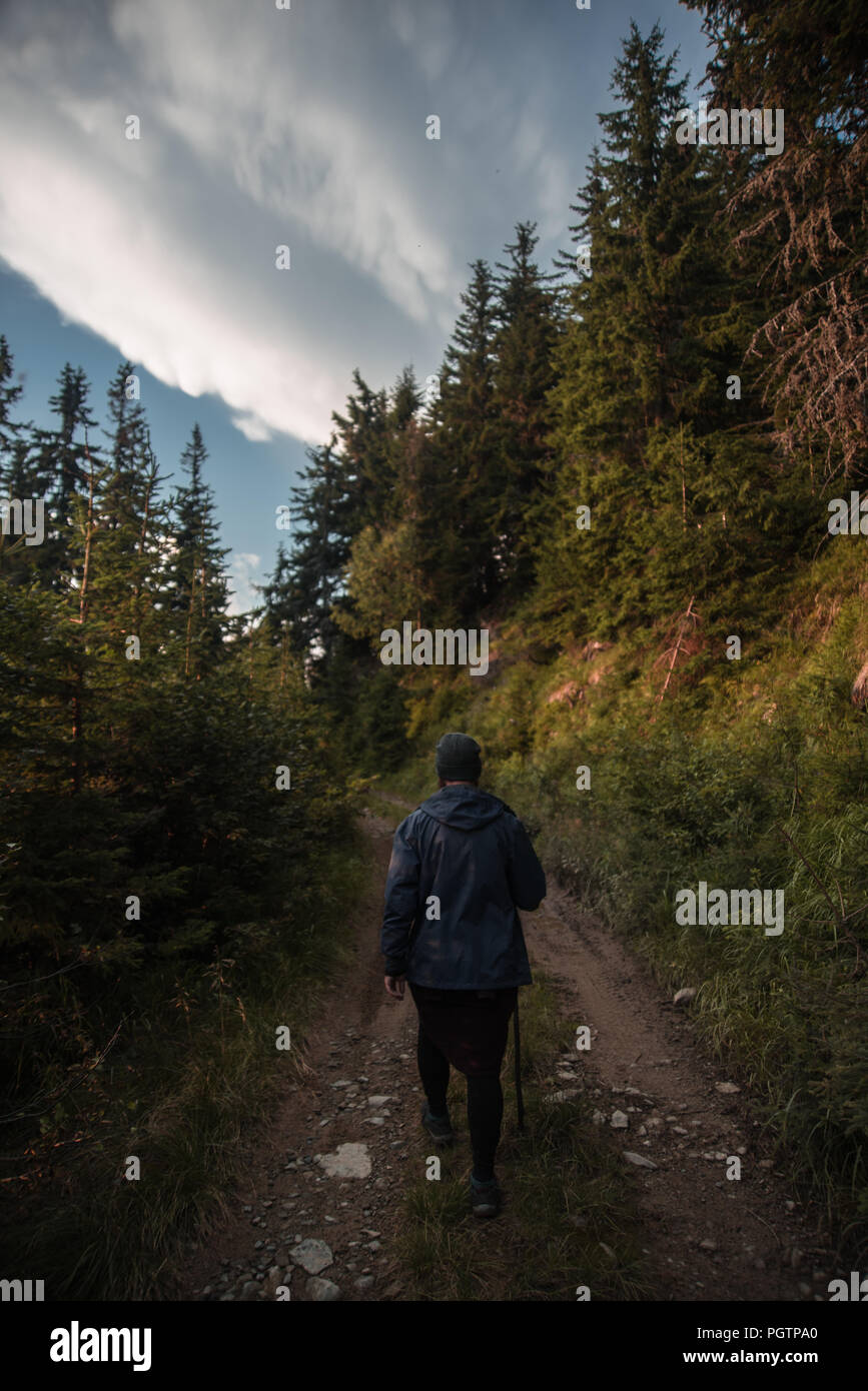 L'homme est de marcher sur le chemin de terre dans les Carpates forest Banque D'Images