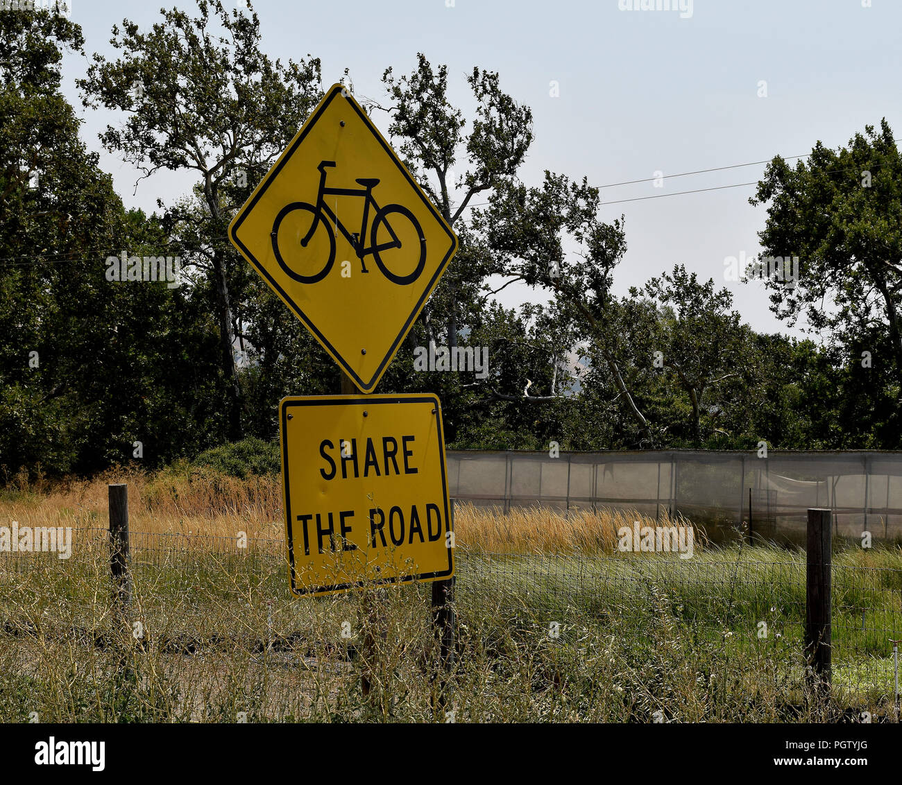 Partager la route avec les vélos signe de la circulation en Californie Banque D'Images