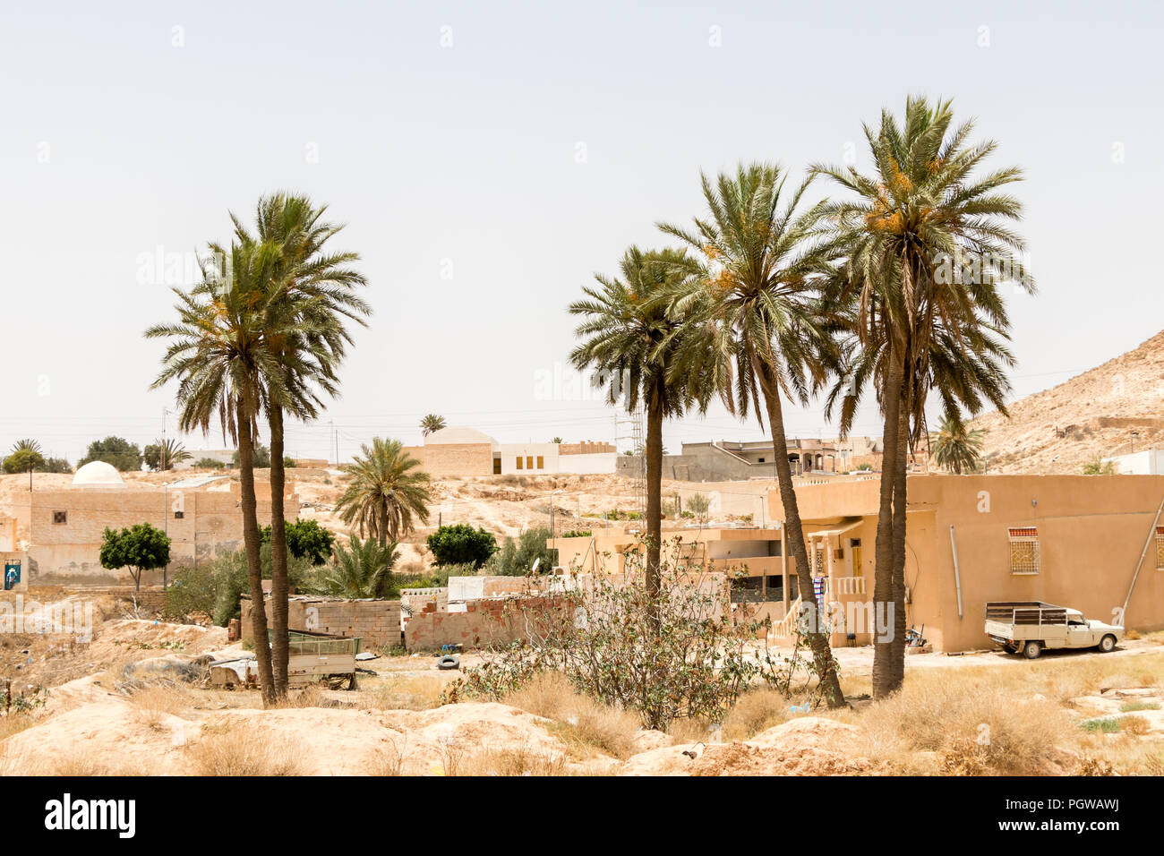 Palmiers dans la ville de Matmata, Tunisie, Afrique Banque D'Images